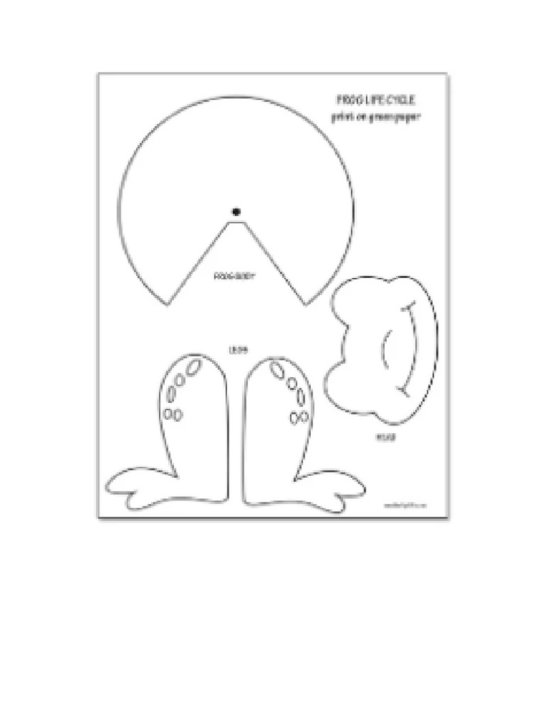 Frog Template A4 | PDF