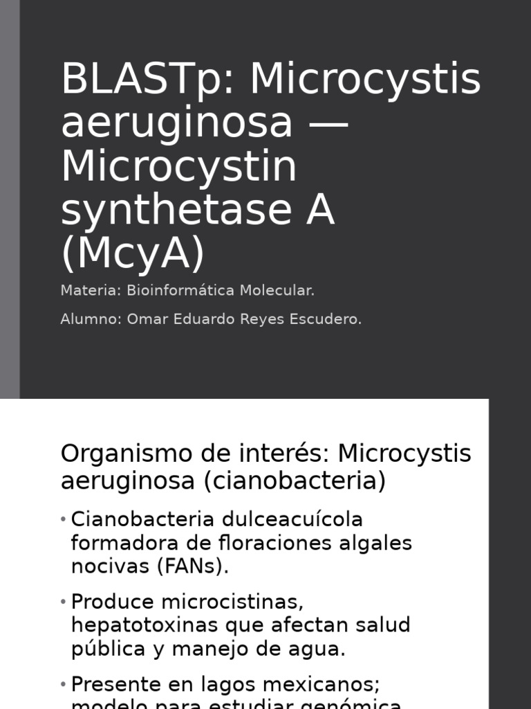 Actividad4_BLASTp_McyA_Microcystis | PDF | Centro Nacional de ...