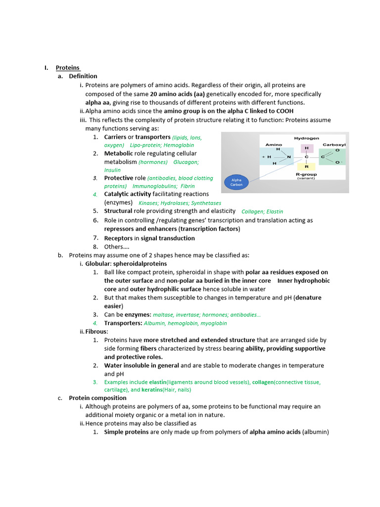 Amino Acids Classification and Properties PDF | PDF | Amino Acid | Acid ...