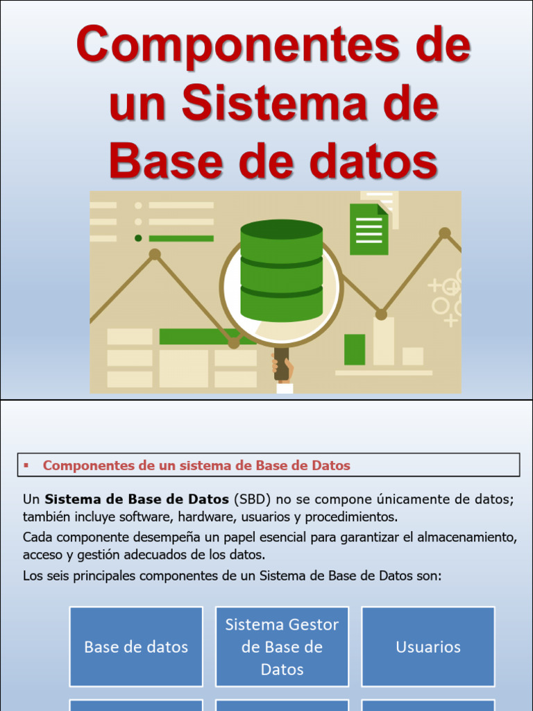 Componentes de un Sistema de Base de Datos | PDF