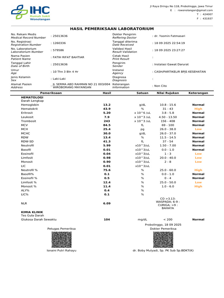 Hasil Pemeriksaan Laboratorium Pasien | PDF | Hematology | Blood