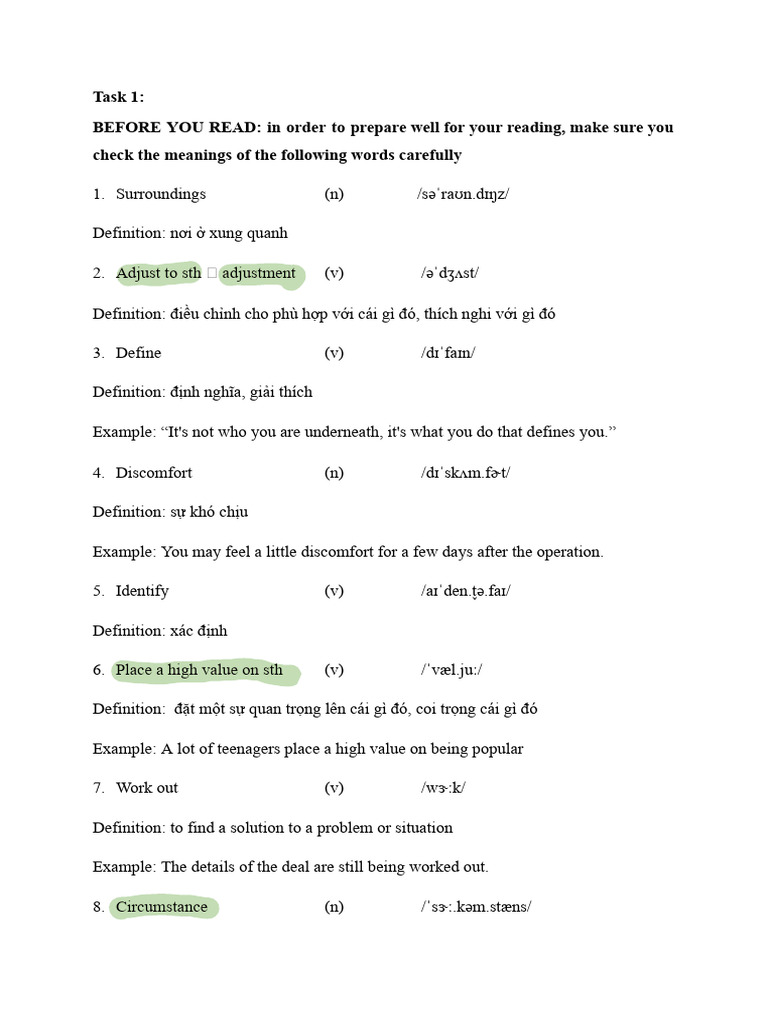 Vocabulary and Culture Shock Guide | PDF