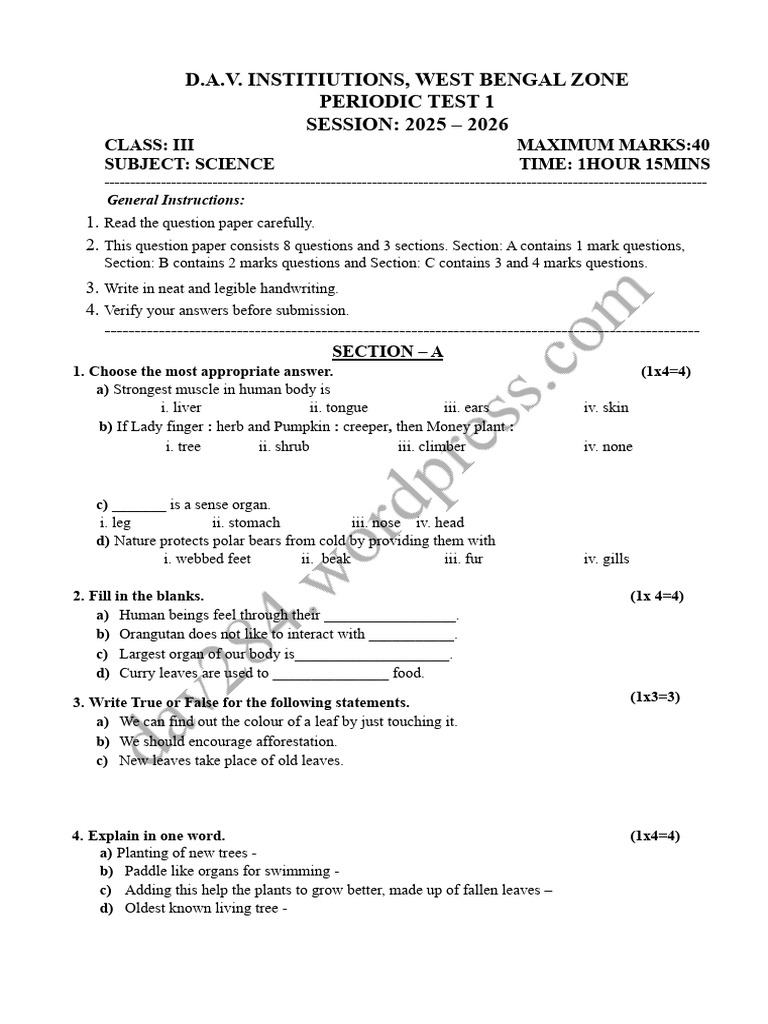 DAV Class 3 Science Periodic Test 1 | PDF