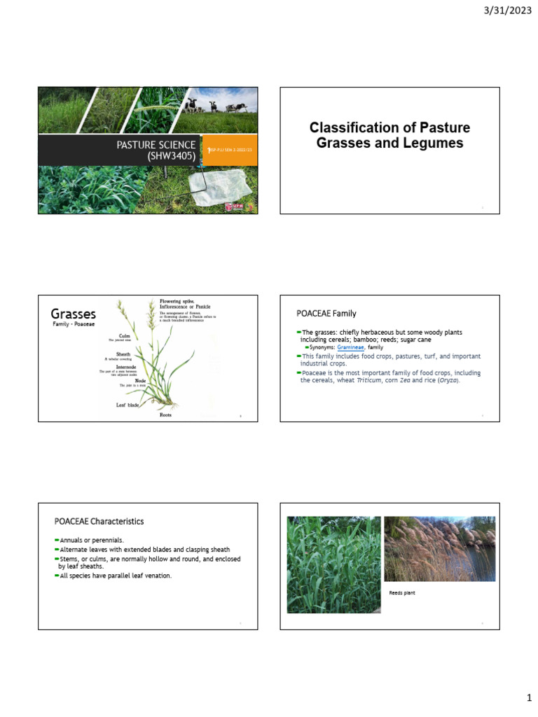 (P) Shw3405 Sains Pastura BSP PJJ - Lecture 2 - Grass and Legume ...