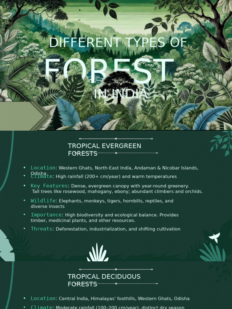 Types of Forests in India | PDF | Ecological Restoration | Conservation ...