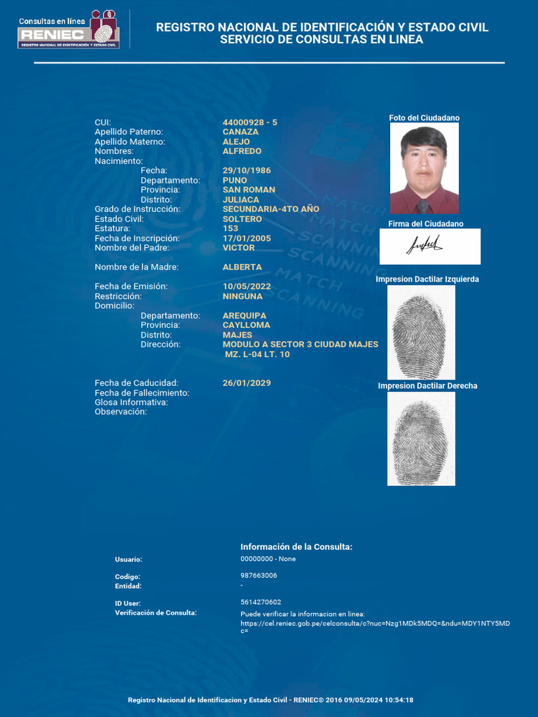 Consulta de Identificación Ciudadana RENIEC | PDF