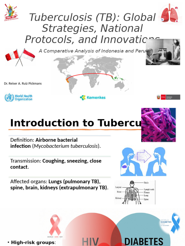 TB Strategies: Indonesia vs. Peru Analysis | PDF | Tuberculosis ...