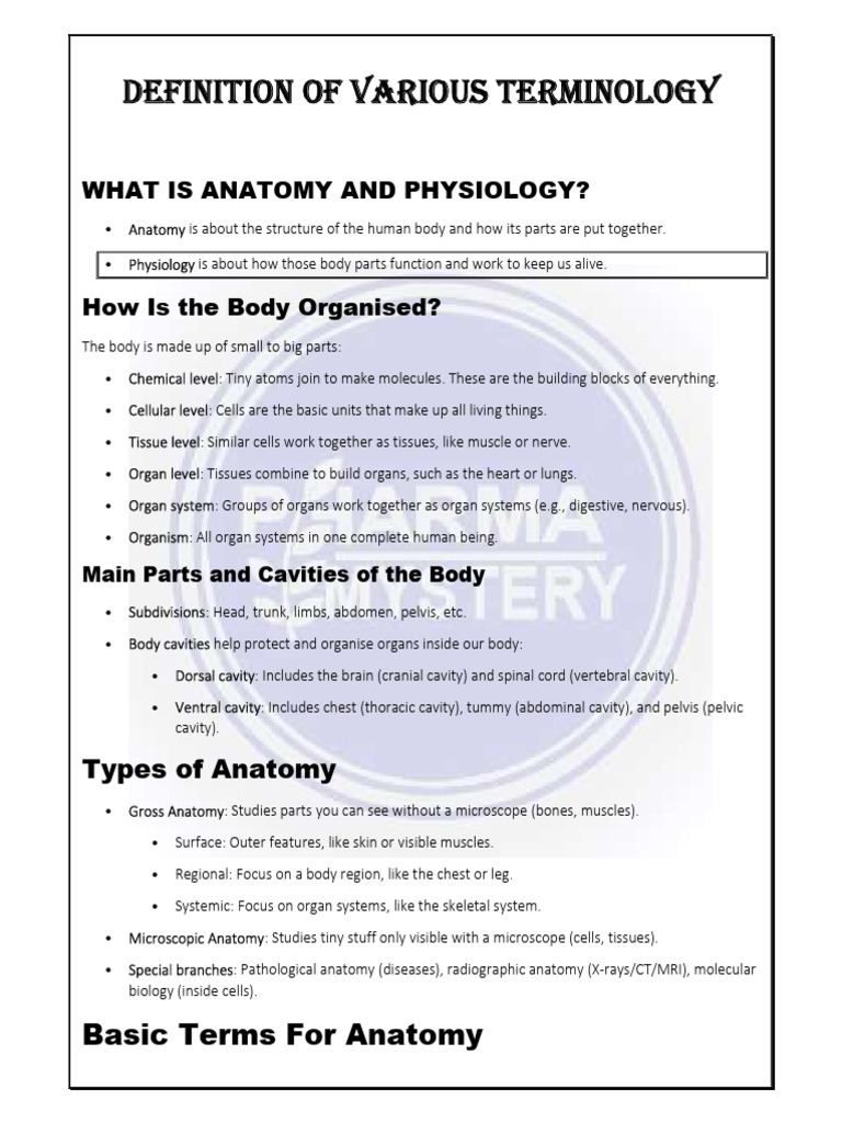 Human Anatomy and Physiology Chapter 1 | PDF | Anatomical Terms Of ...
