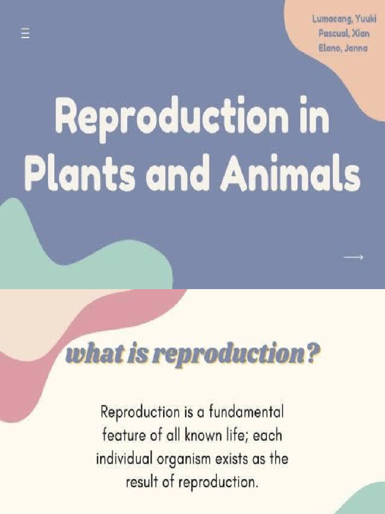 Reproduction | PDF