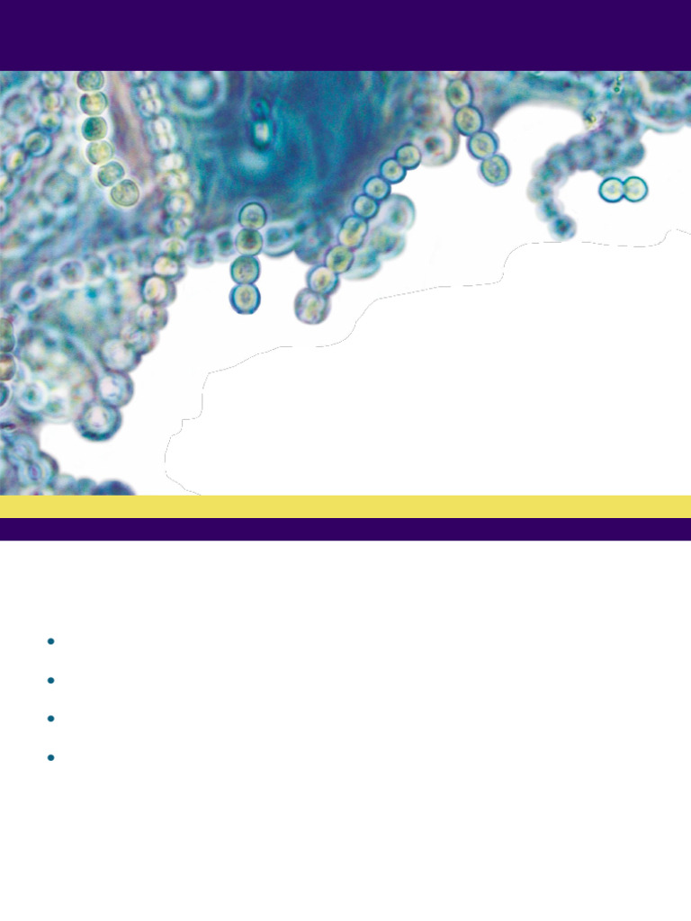 Microbial Microscopy Techniques Overview | PDF | Microscope | Eukaryotes