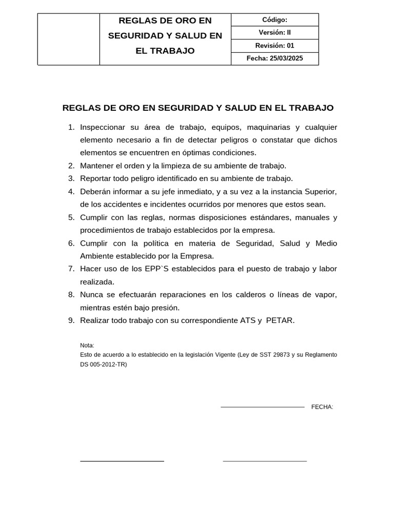 Reglas de Oro en Seguridad Laboral | PDF