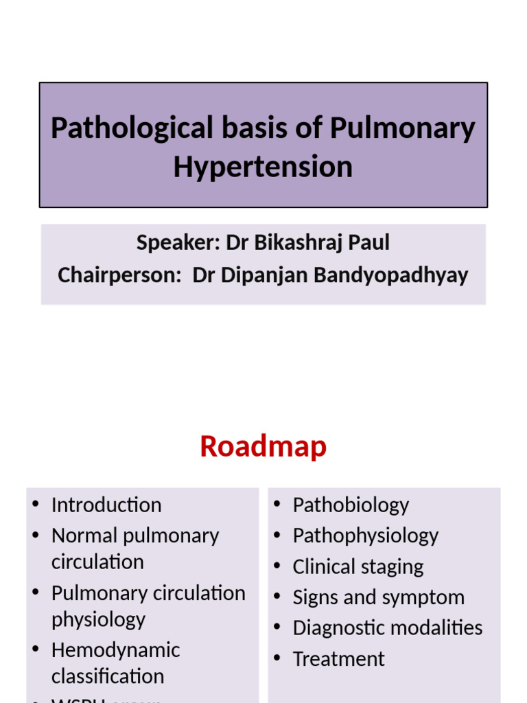 Pulmonary Hypertension 1 | PDF | Artery | Heart