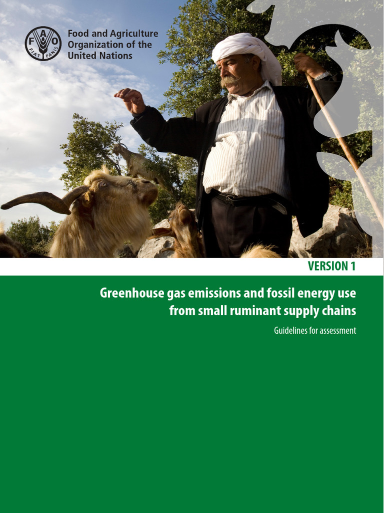 Greenhouse Gas Emissions and Fossil Energy Use | PDF | Life Cycle ...