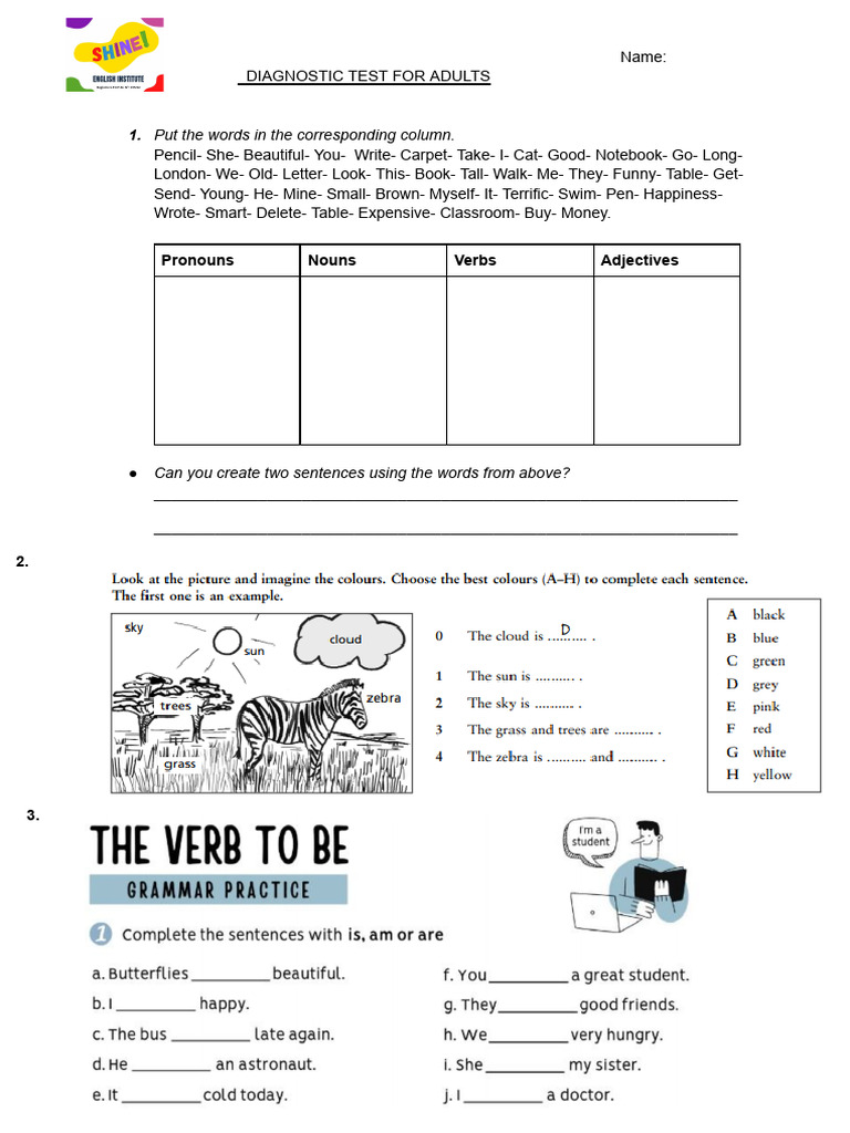 Diagnostic Test Adults | PDF