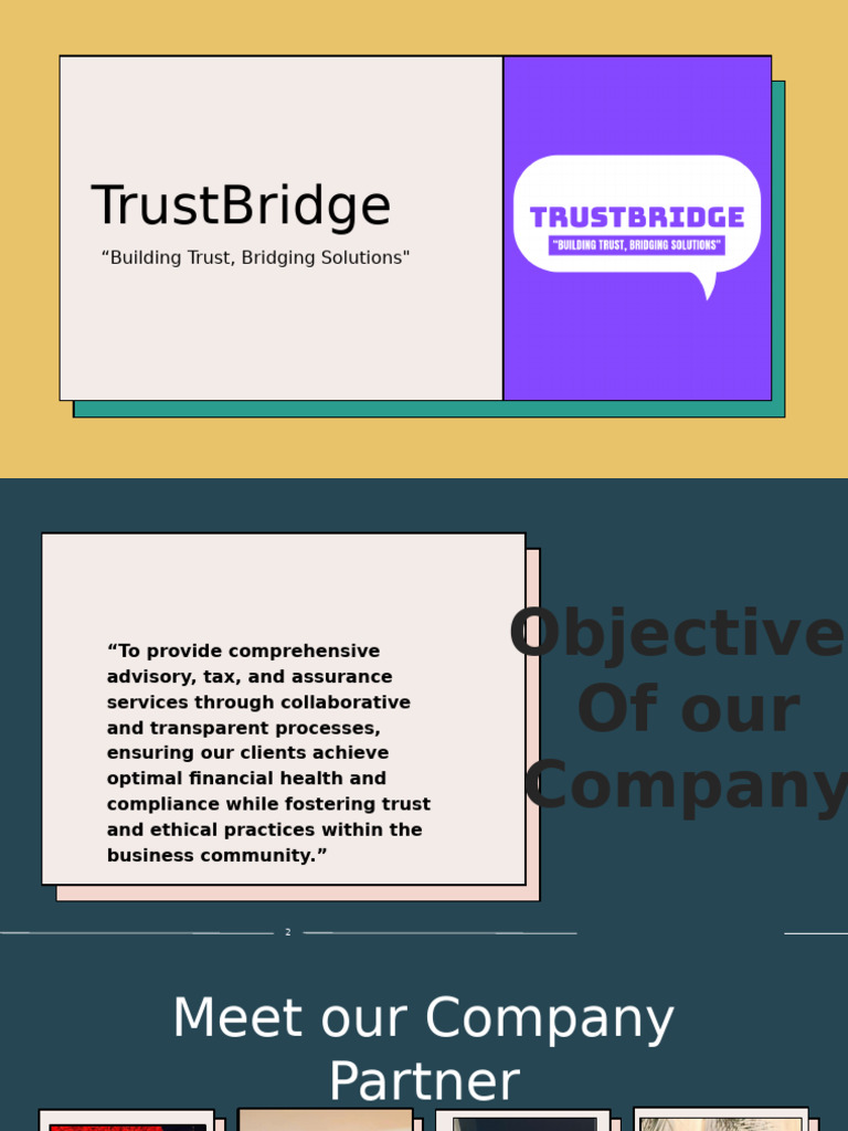 Trust Bridge | PDF | Limited Liability Partnership | Government Finances