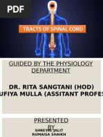 Anatomy and Function of DCML Pathway | PDF | Neuroscience | Nervous System