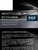 Adaptacion y Economia