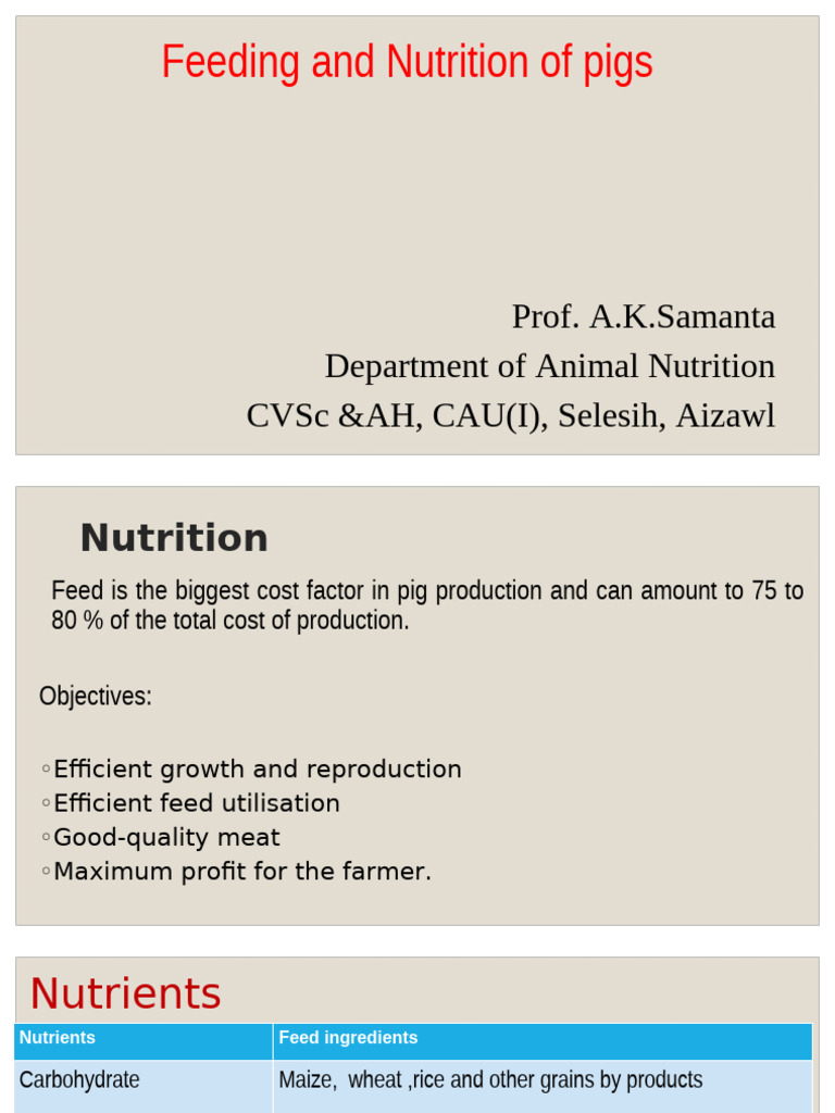 Pig Feeding and Nutrition Guide | PDF | Animal Feed | Nutrition