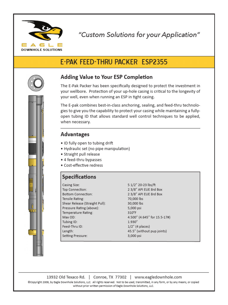E-Pak Packer: ESP Completion Solutions | PDF | Mechanical Engineering