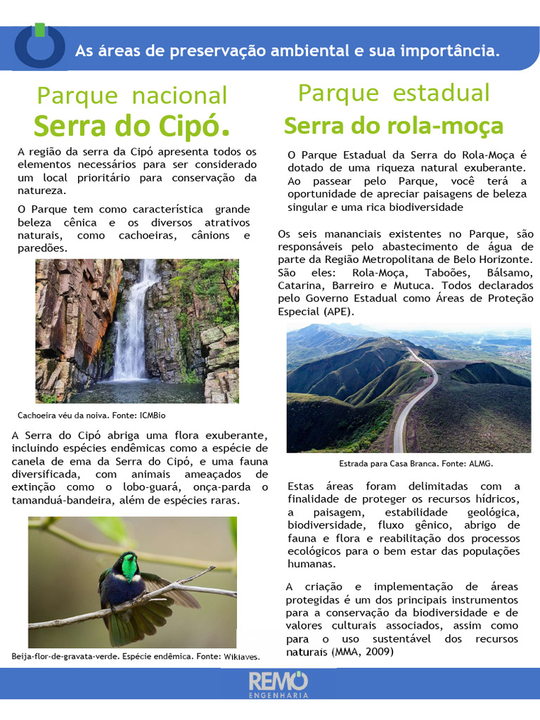 Importância das Áreas de Preservação Ambiental | PDF | Parques ...