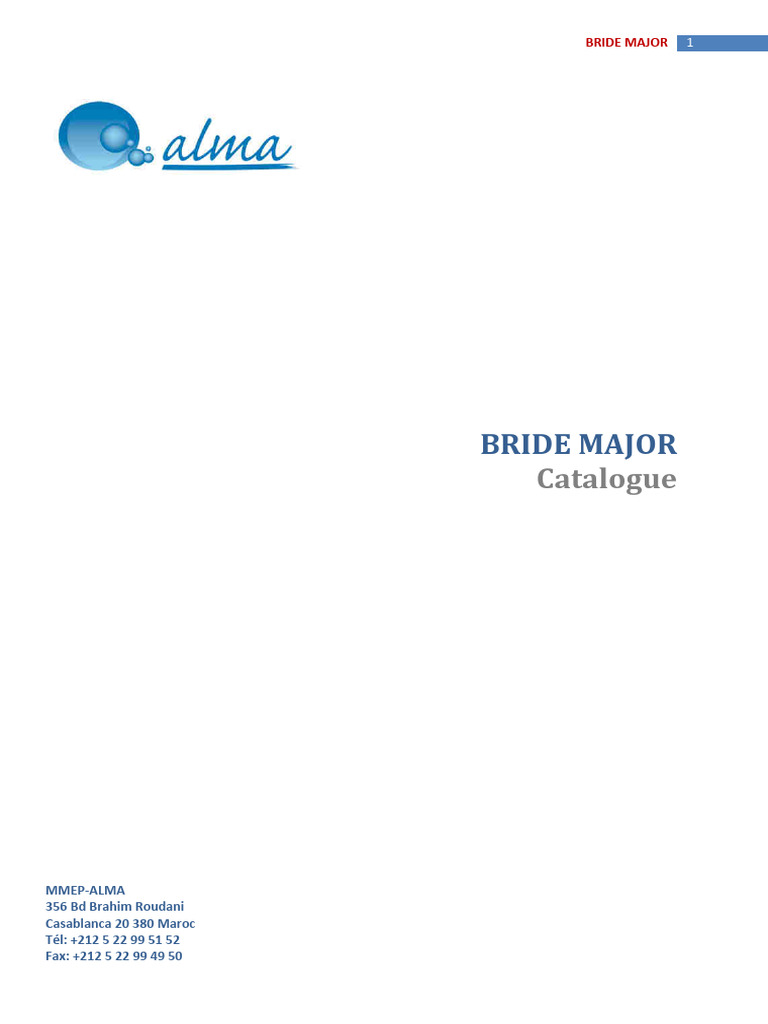 Catalogue des Brides Major | PDF | Processus industriels | Matériaux de ...