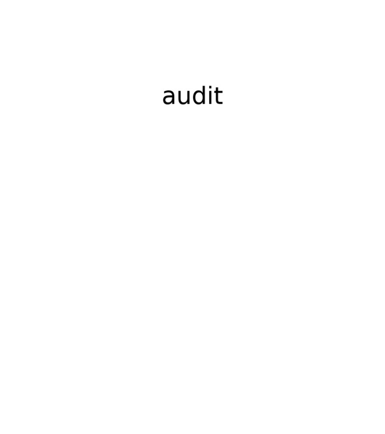 Audit 3 | PDF