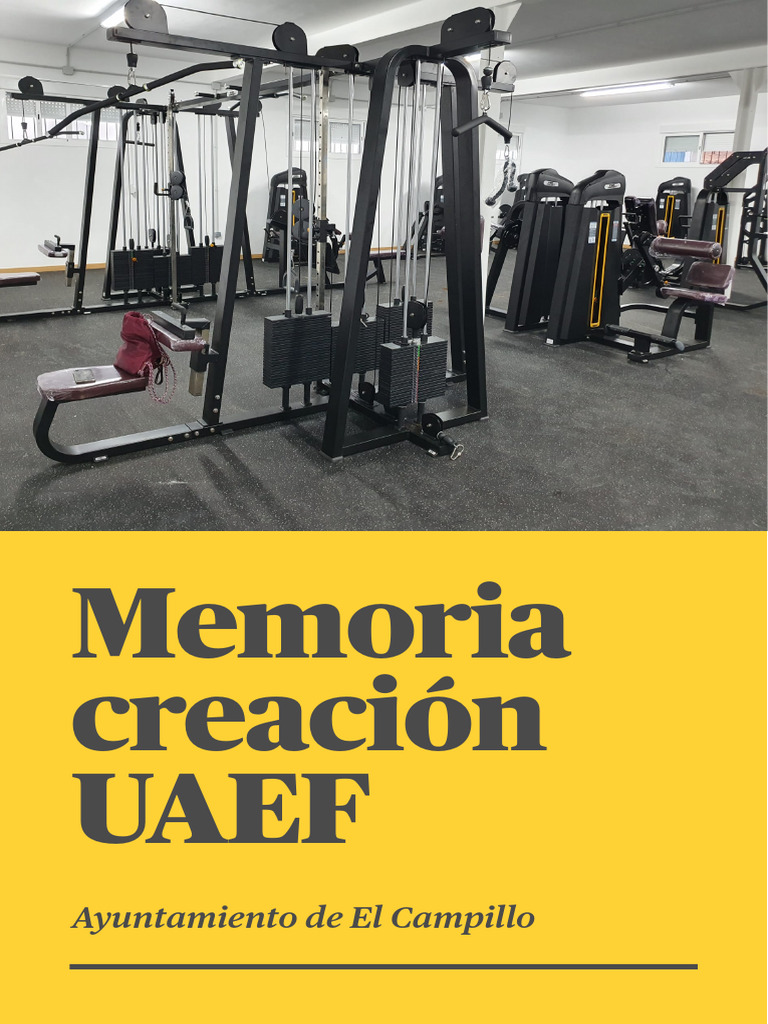 Creación de UAEF en El Campillo | PDF | Fuerza | Datos