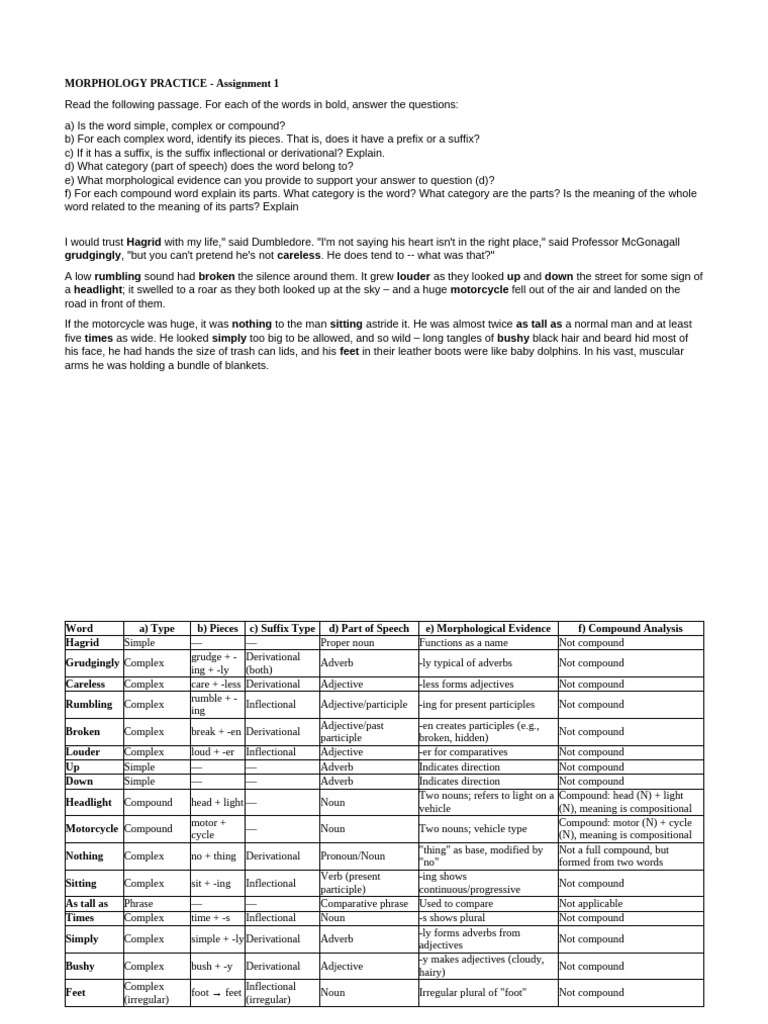 Morphology Practice Assignment Guide | PDF | Adjective | Adverb