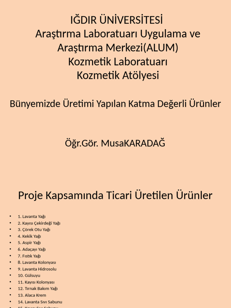 Katma Değer Nedi̇r? | PDF