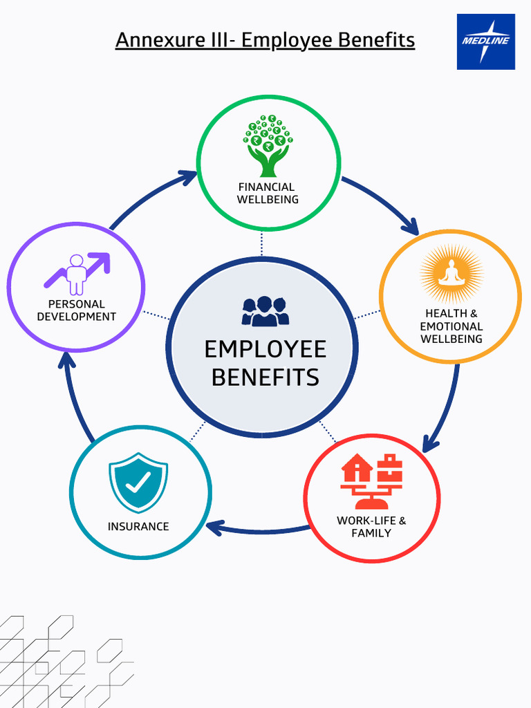 Comprehensive Employee Benefits Overview | PDF | Insurance | Parental Leave