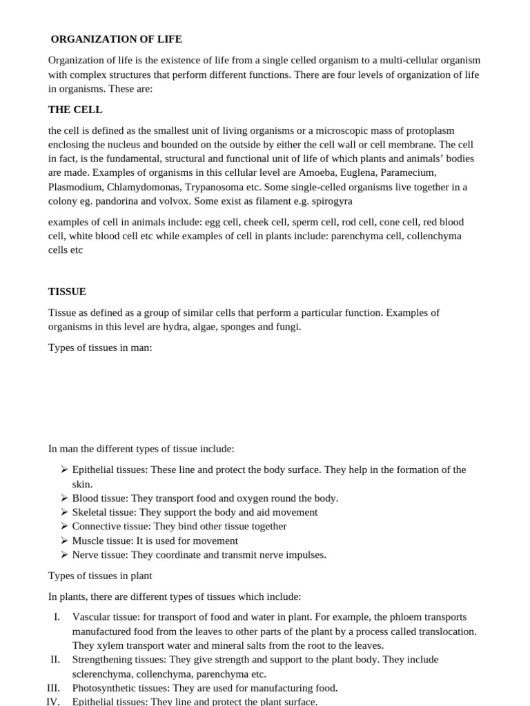 Organization of Life2-1 | PDF | Tissue (Biology) | Cell (Biology)