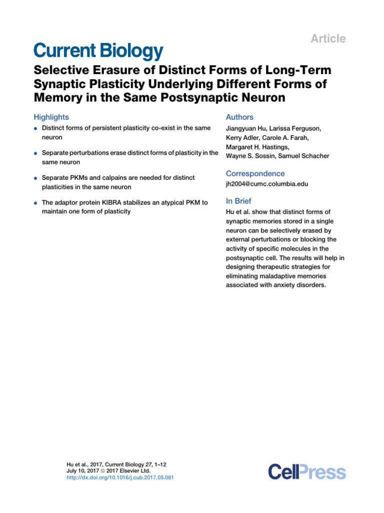 Selective Erasure of Synaptic Plasticity | PDF | Synaptic Plasticity ...