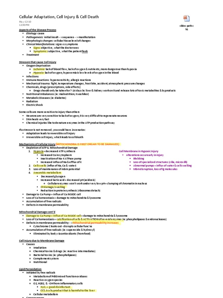 Path Notes Download Free Pdf Wound Healing Angiogenesis