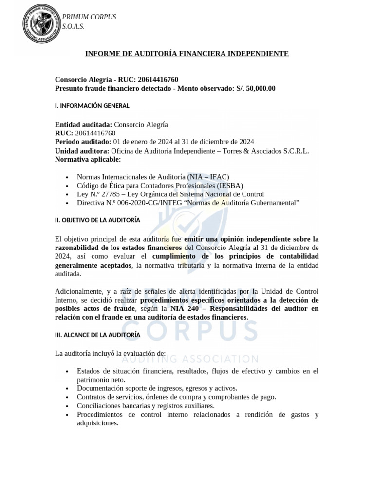 Informe de Auditoria Financiera | PDF | Auditoría | Contabilidad