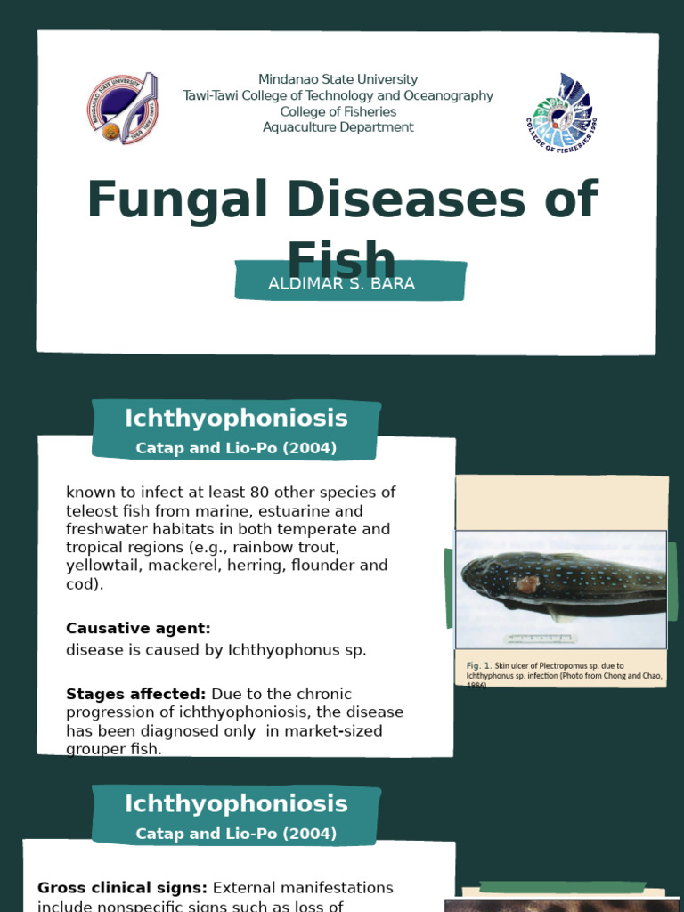 Fungal Disease In Aquarium Fish Chemical Reactions