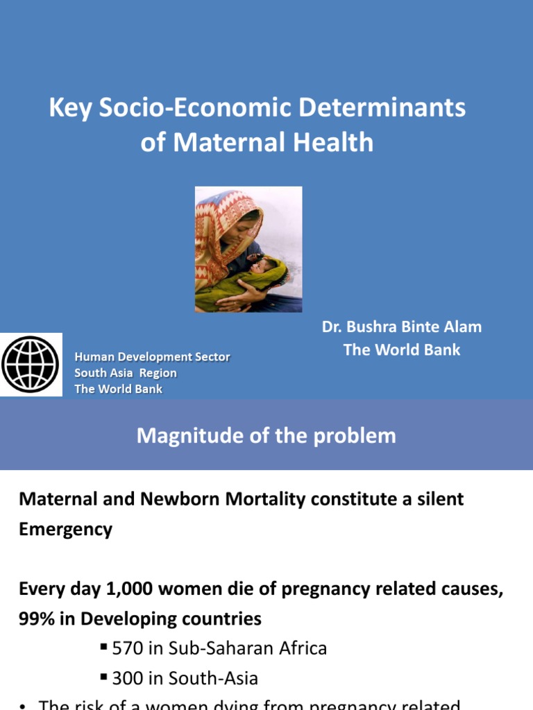 Alam - Determinants of Maternal Health in Asia | PDF | Workforce ...