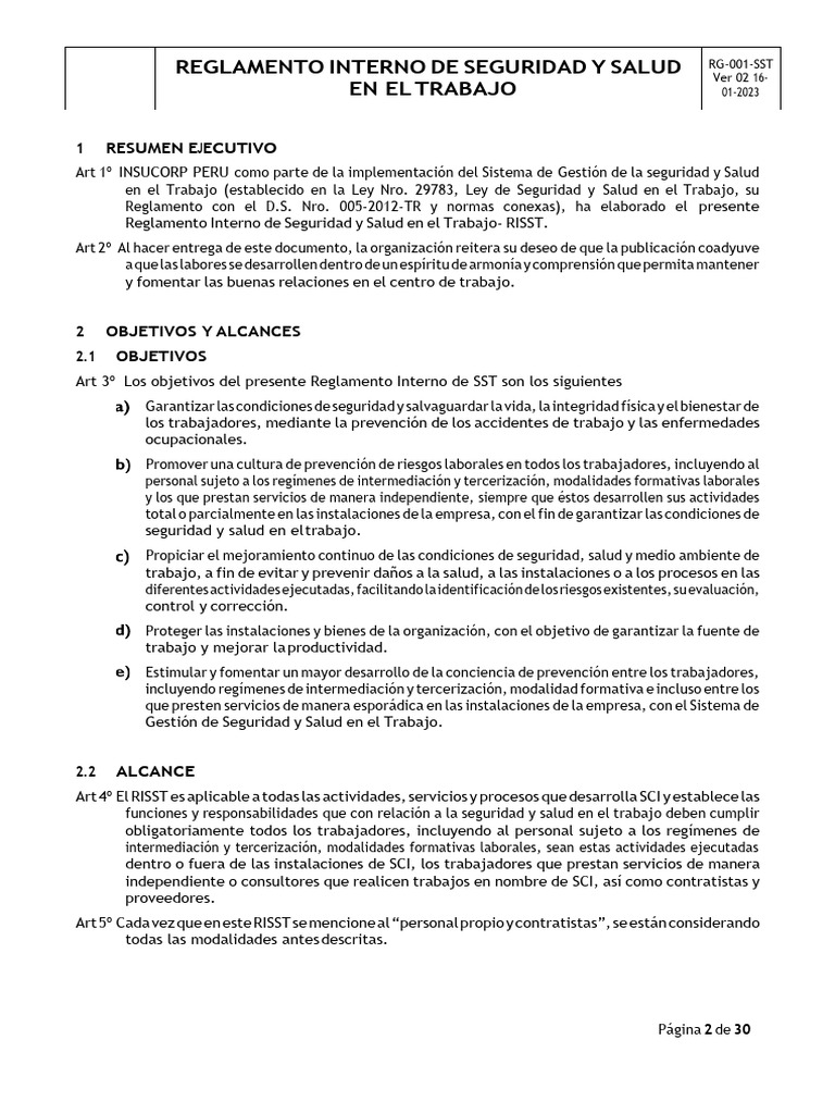 Reglamento de Seguridad y Salud Laboral | PDF | Seguridad y salud ...