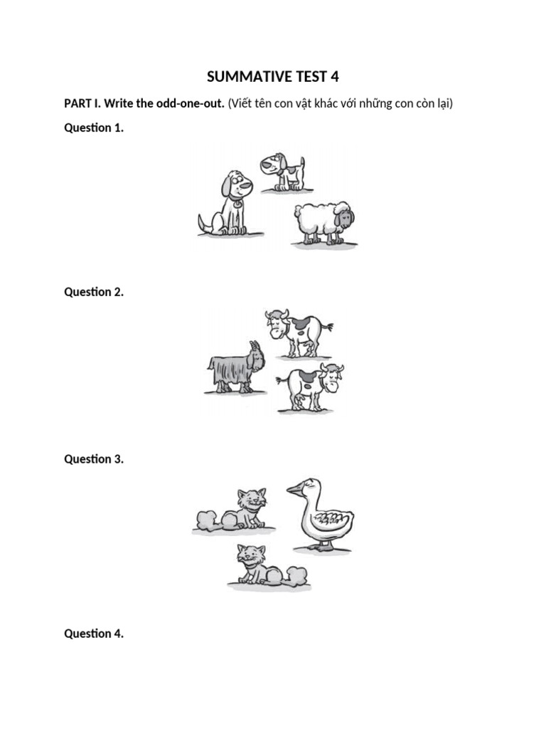 Summative Test 4 | PDF