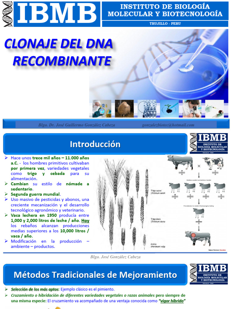 Clonaje y Tecnología de DNA Recombinante | PDF | Adn | Plásmido