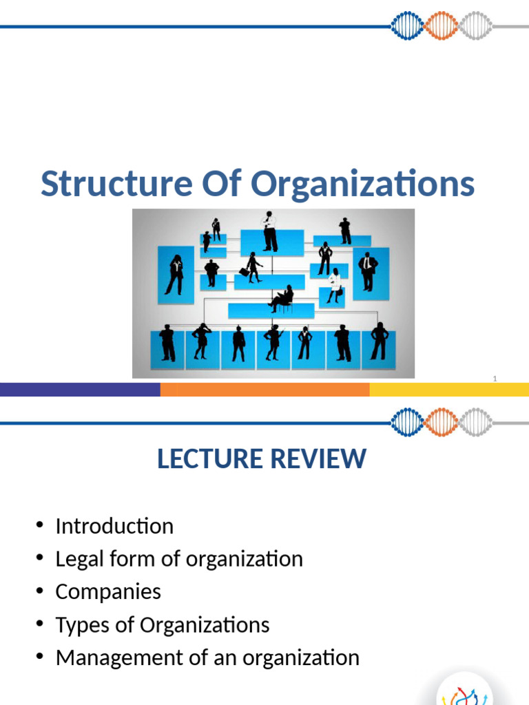 Understanding Organizational Structures | PDF | Companies | Articles Of ...