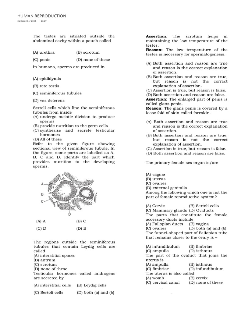 Human Reproduction 1 | PDF