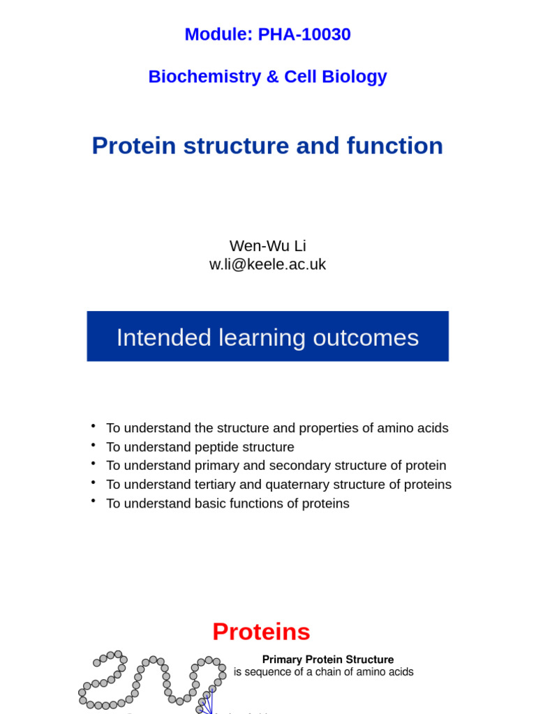 Understanding Protein Structure and Function | PDF | Amino Acid | Beta ...