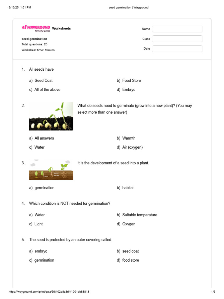 Seed Germination Quiz Worksheet | PDF | Seed | Germination