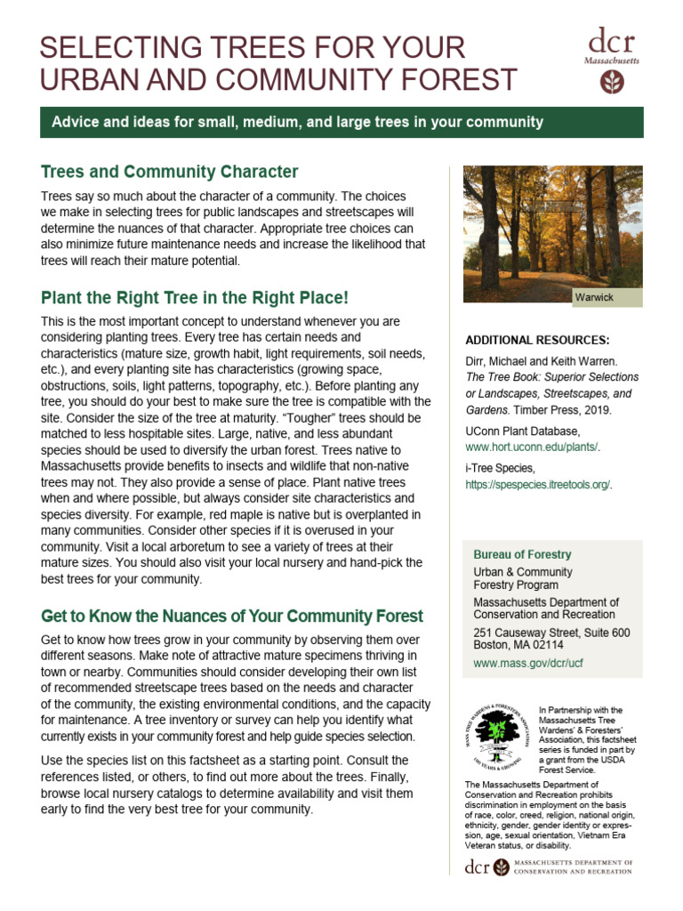 Choosing Trees for Urban Forests | PDF | Botany | Trees