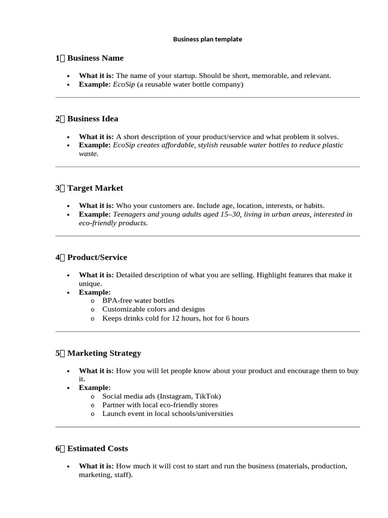 Essential Business Plan Template | PDF