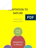 Adaptation To Nature