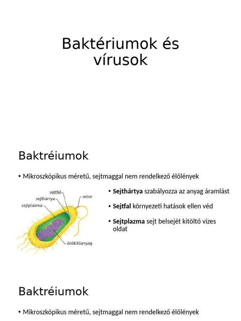 Baktériumok És Vírusok | PDF