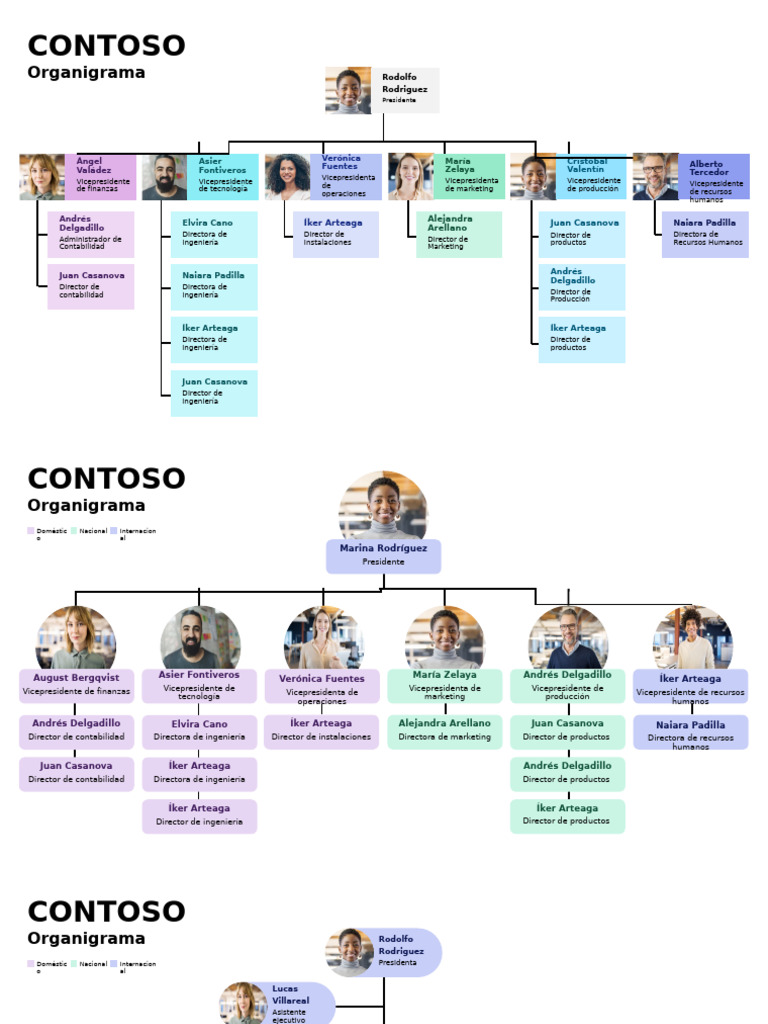 Organigrama de CONTOSO: Estructura y Roles | PDF | Economias | Business