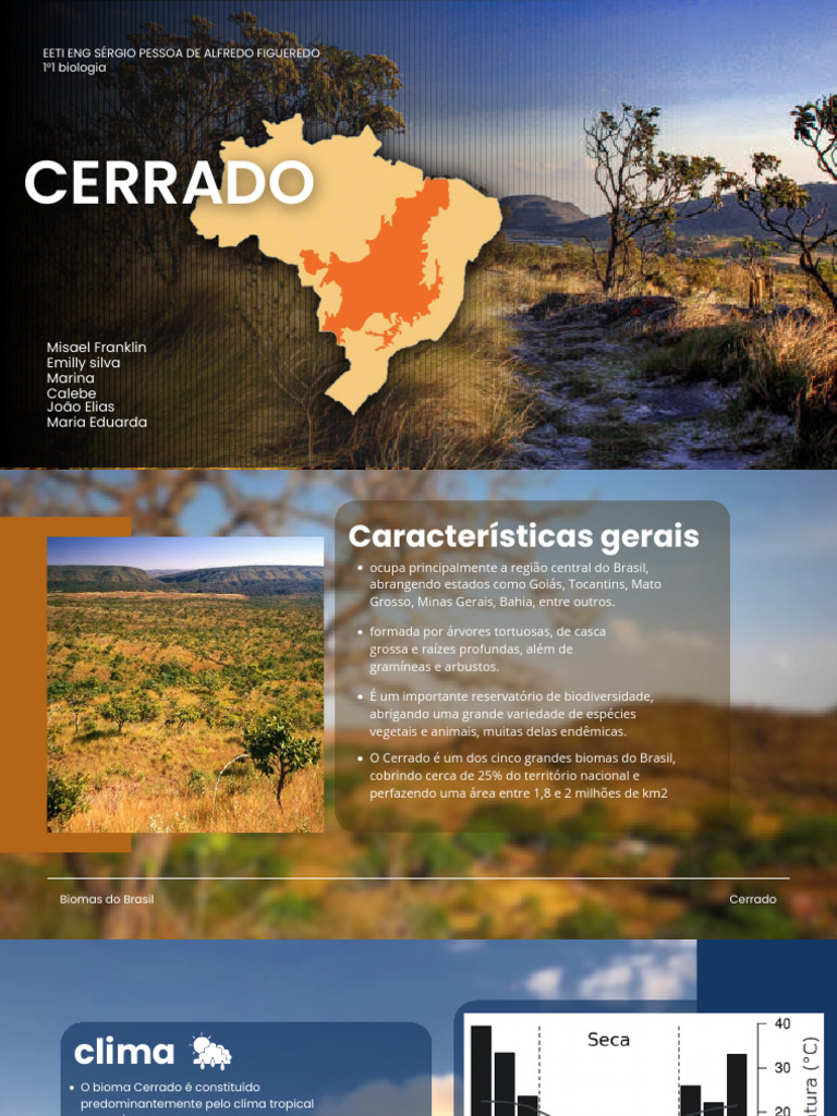 Características do Bioma Cerrado | PDF | Ecologia | Ambiente natural