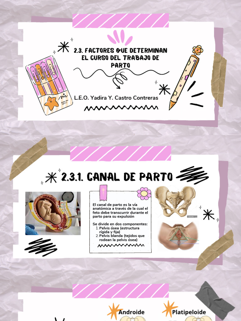Canal de Parto: Anatomía y Funciones | PDF | Pelvis | Parto